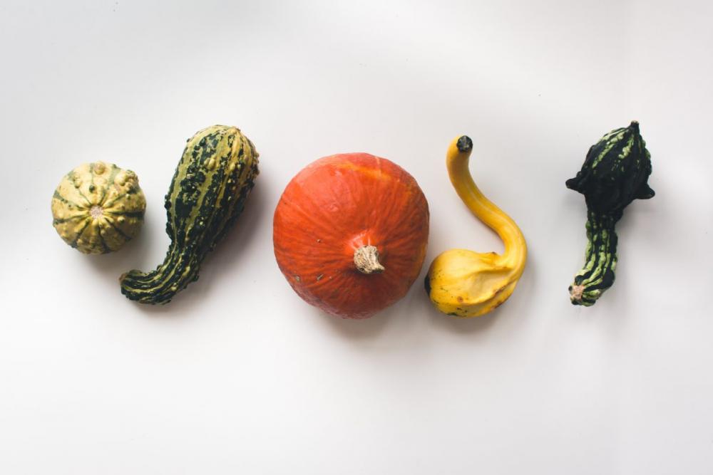 Decorative pumpkins Decorative pumpkins