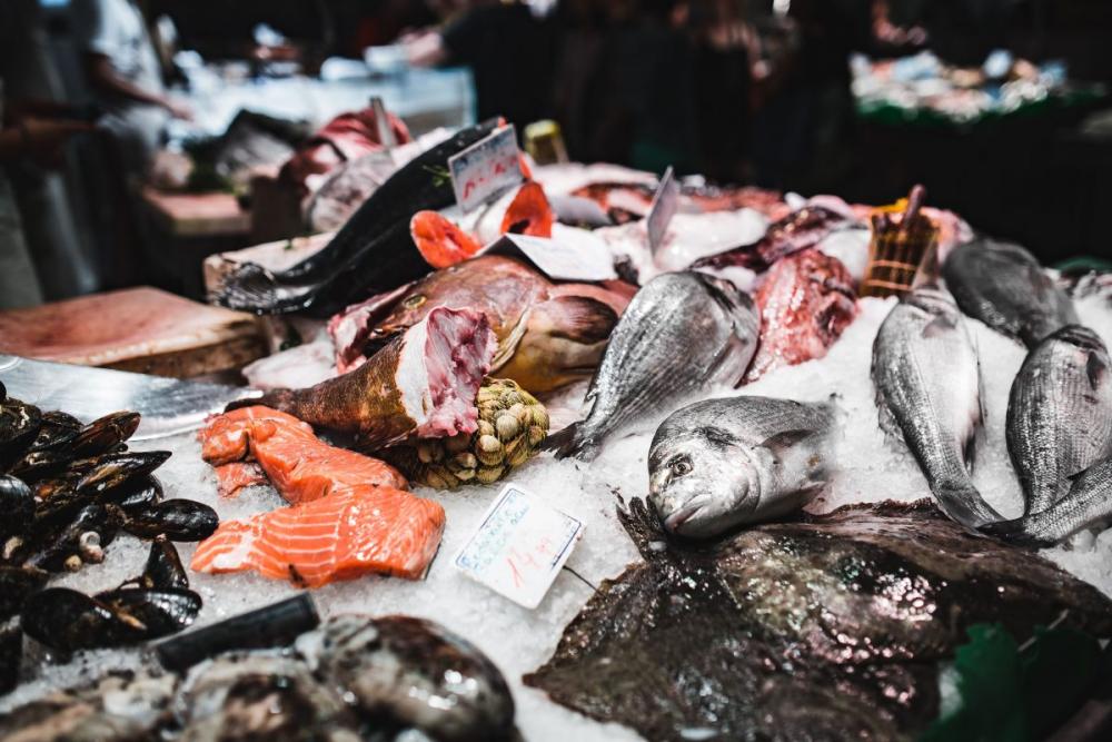 Fish market overview Fish market overview