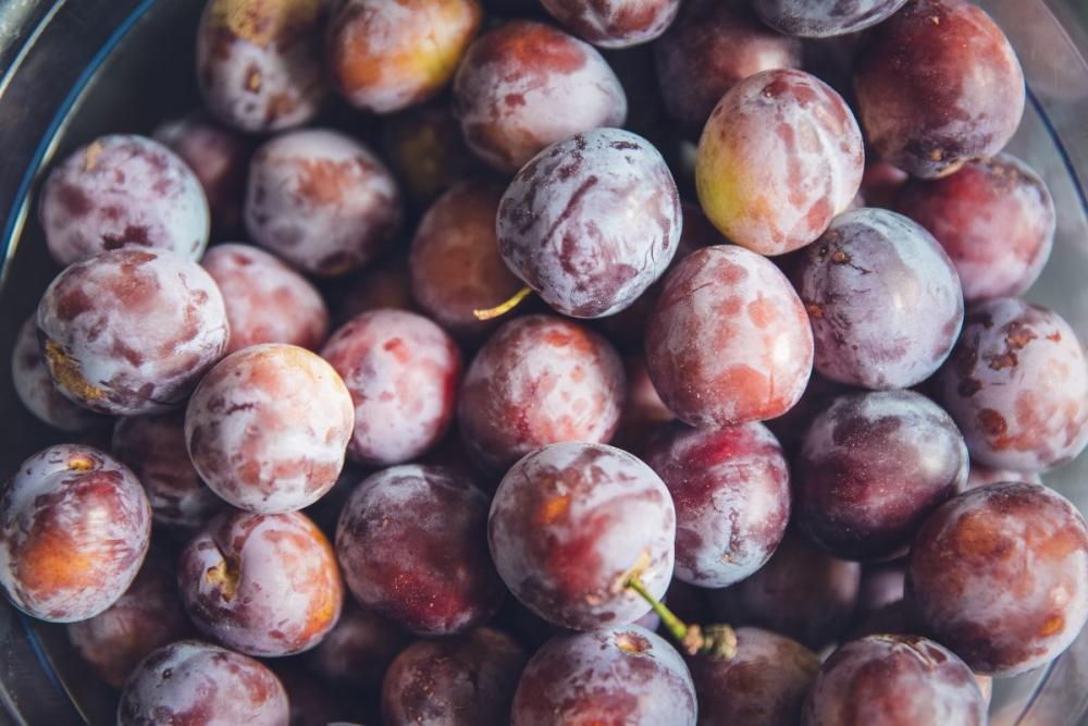 Fresh plums Fresh plums