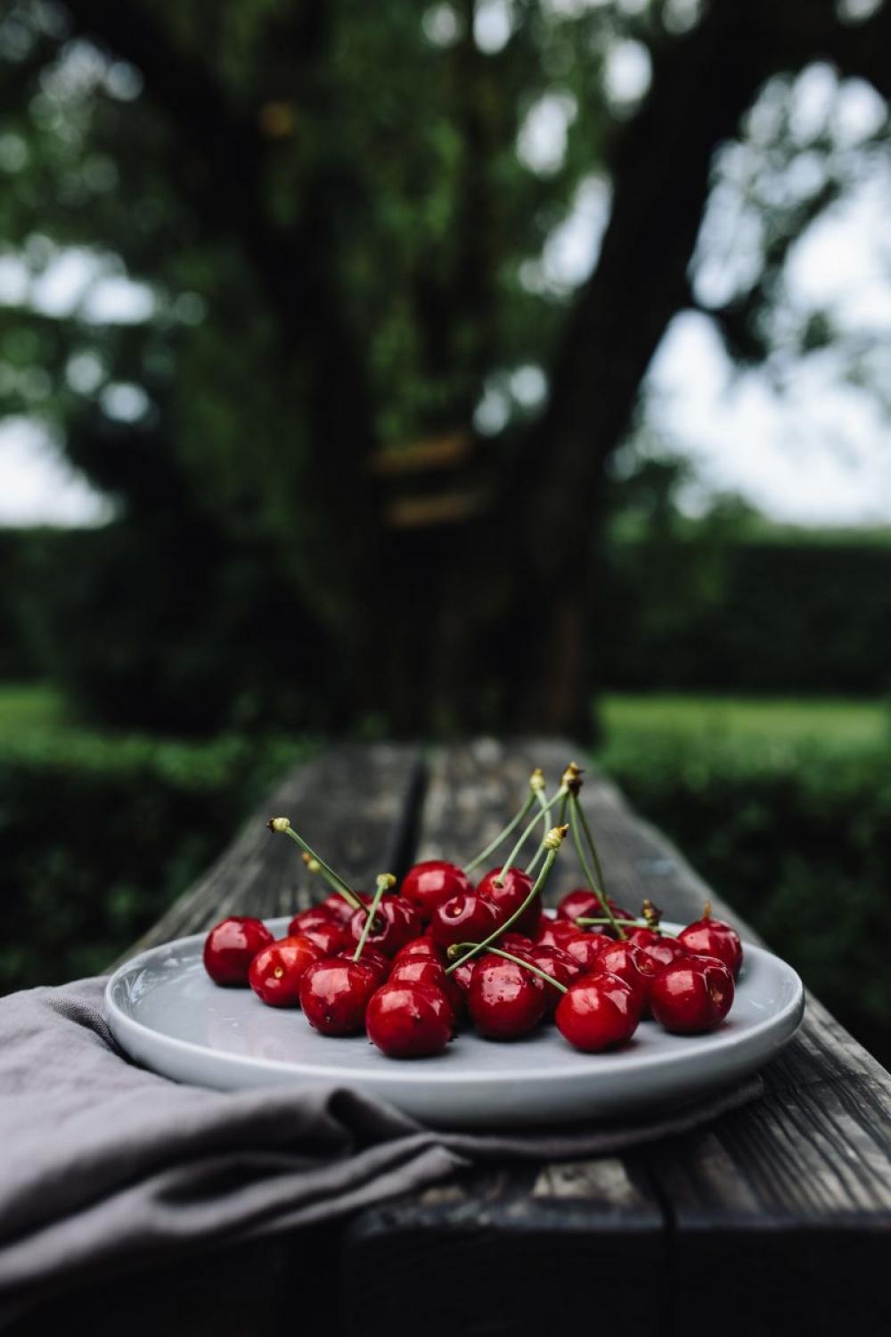 Fresh cherries in the garden Fresh cherries in the garden