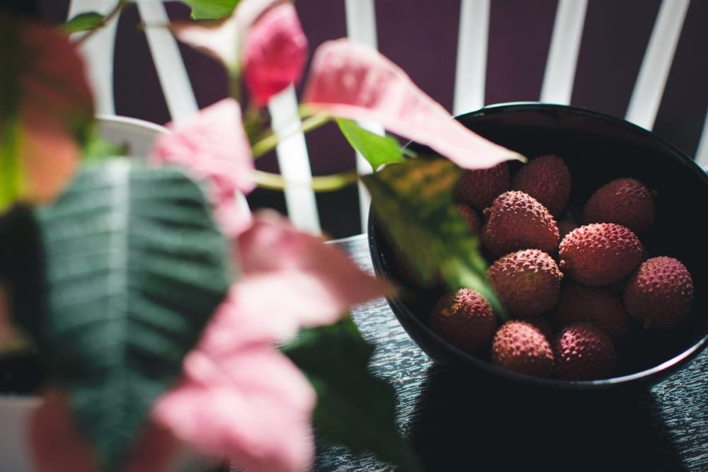 Fresh litchi Fresh litchi