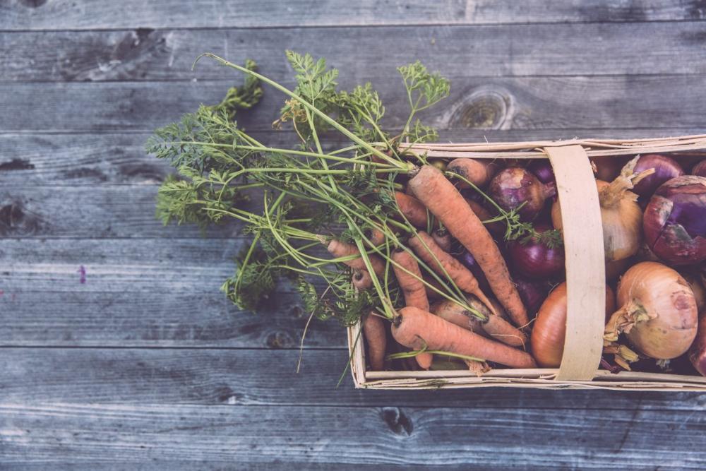 Homegrown Vegetables Homegrown Vegetables