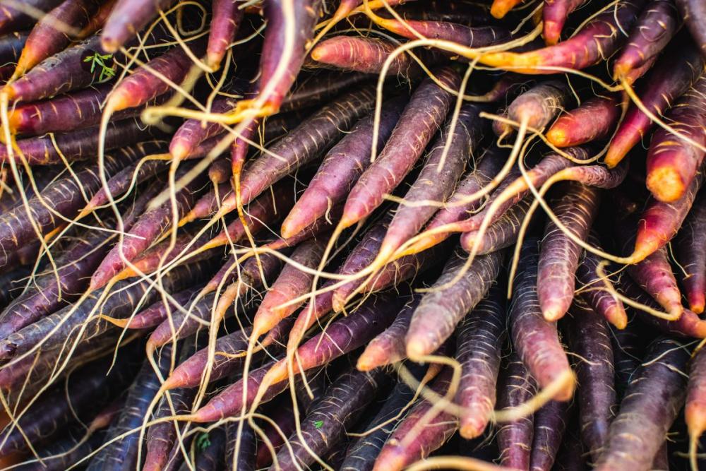 Red carrots at farmers market Red carrots at farmers market