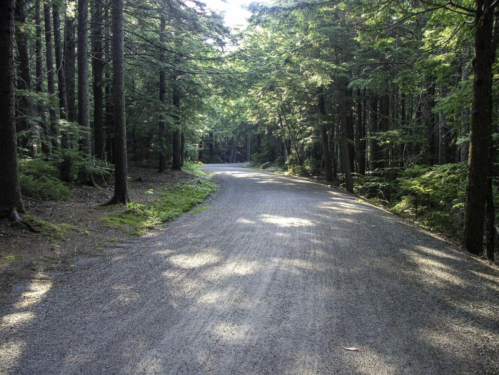 Carriage Road in Acadia National Park, Maine free photo Carriage Road in Acadia National Park, Maine free photo