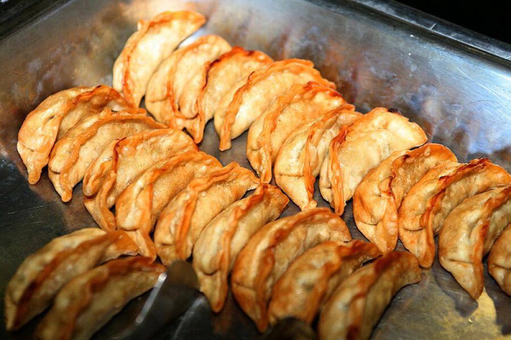 Cooked Gyoza on grill free photo Cooked Gyoza on grill free photo