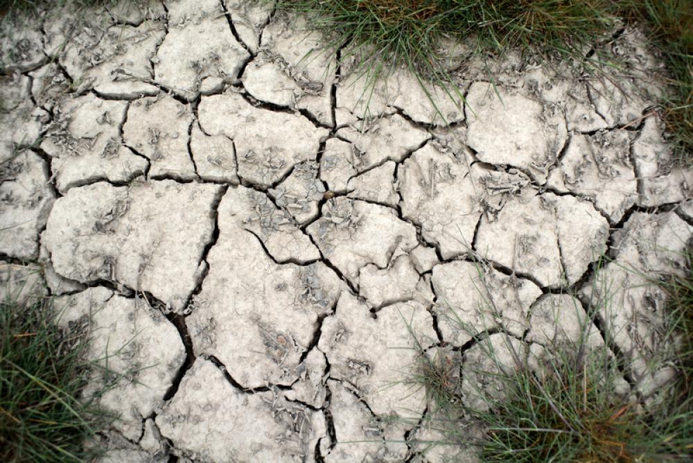 Cracked Earth Background free photo Cracked Earth Background free photo