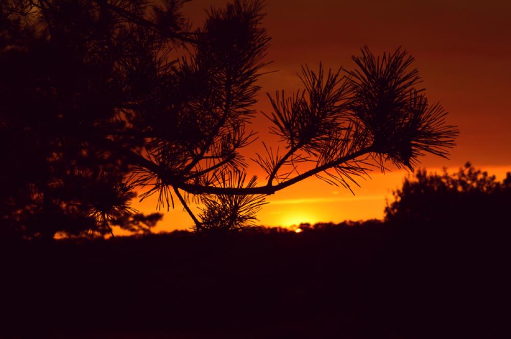 Dusk and sunset in the landscape free photo Dusk and sunset in the landscape free photo