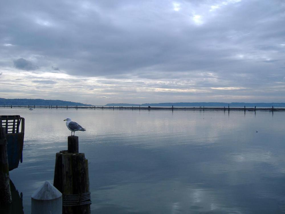 Everett Yacht Club on Port Gardner Wharf in Washington free photo Everett Yacht Club on Port Gardner Wharf in Washington free photo