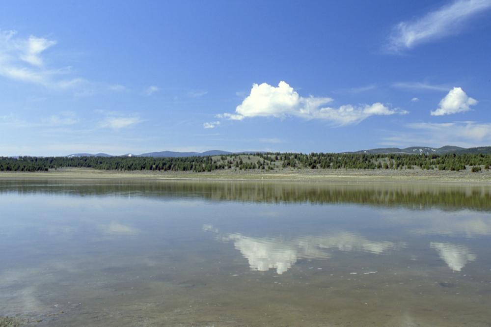 Wetlands across a pond in Montana free photo Wetlands across a pond in Montana free photo