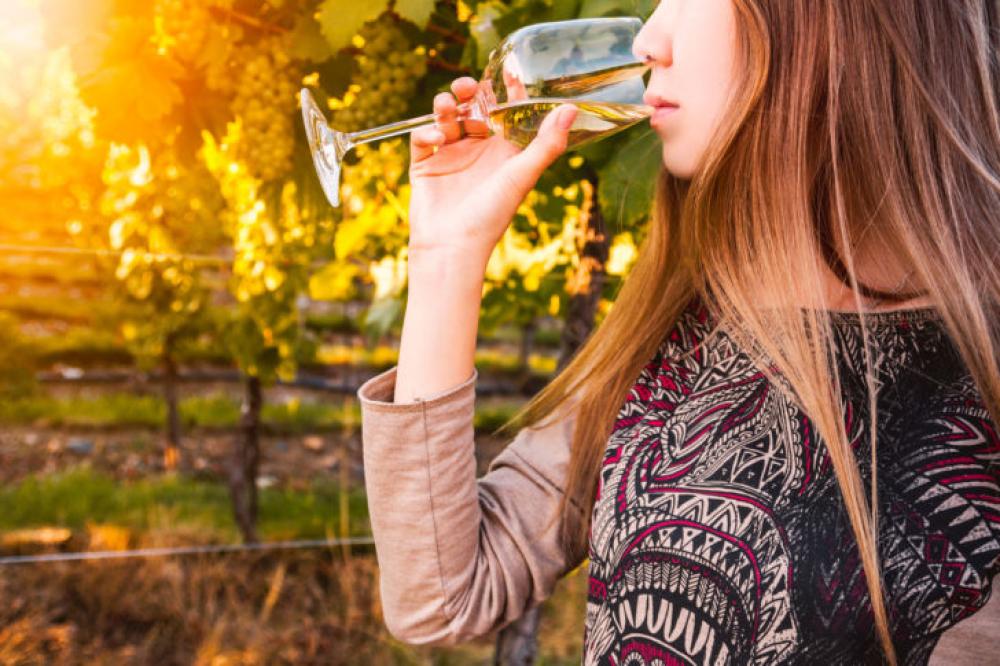 Gorgeous brunette woman having wine fun in the vineyards Gorgeous brunette woman having wine fun in the vineyards