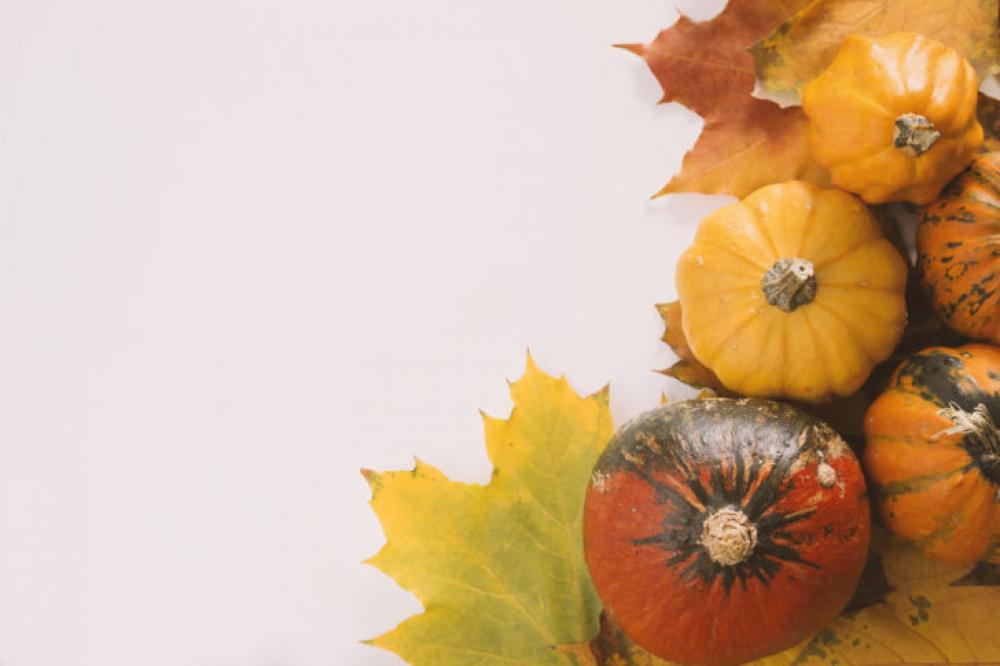 Pumpkins on white background with the autumn leaves Pumpkins on white background with the autumn leaves