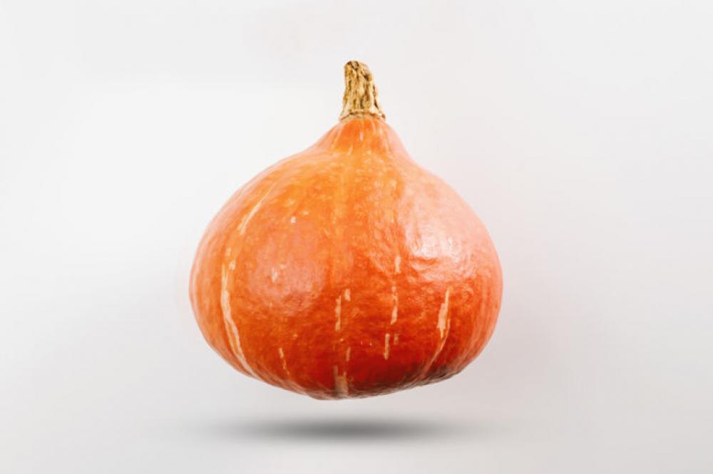 Pumpkin on white background Pumpkin on white background