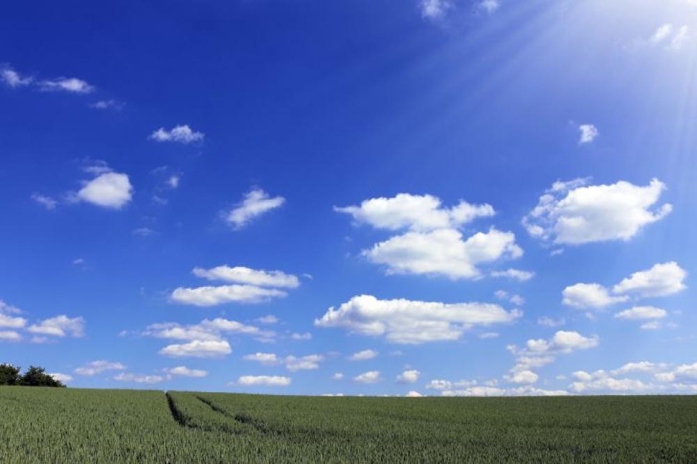 Beautiful landscape with blue sky and green field in summer Beautiful landscape with blue sky and green field in summer