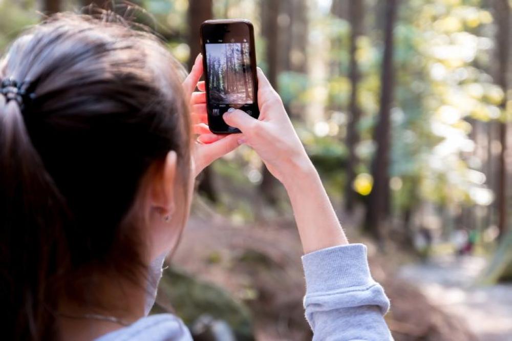 A young brunette in a forest takes a photo on their smartphone A young brunette in a forest takes a photo on their smartphone