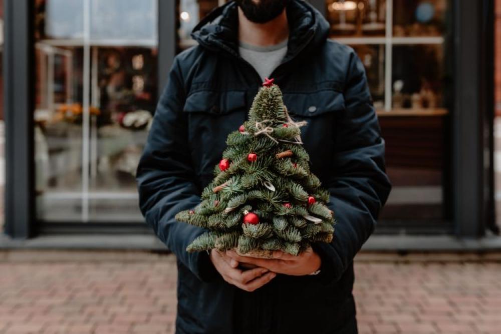 The man is holding a small Christmas tree with red decorations The man is holding a small Christmas tree with red decorations