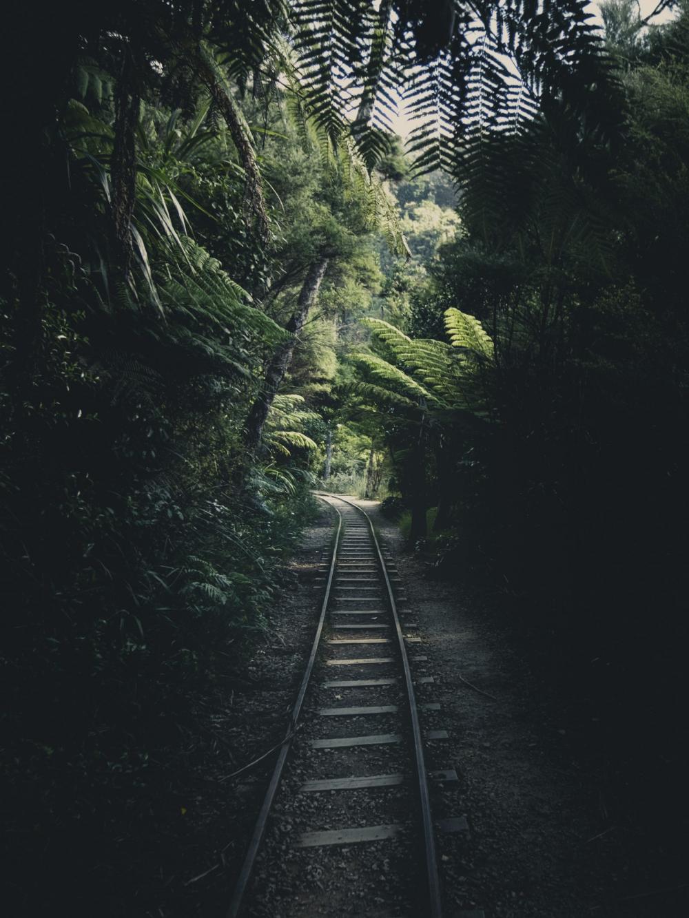 Forest Railway Forest Railway