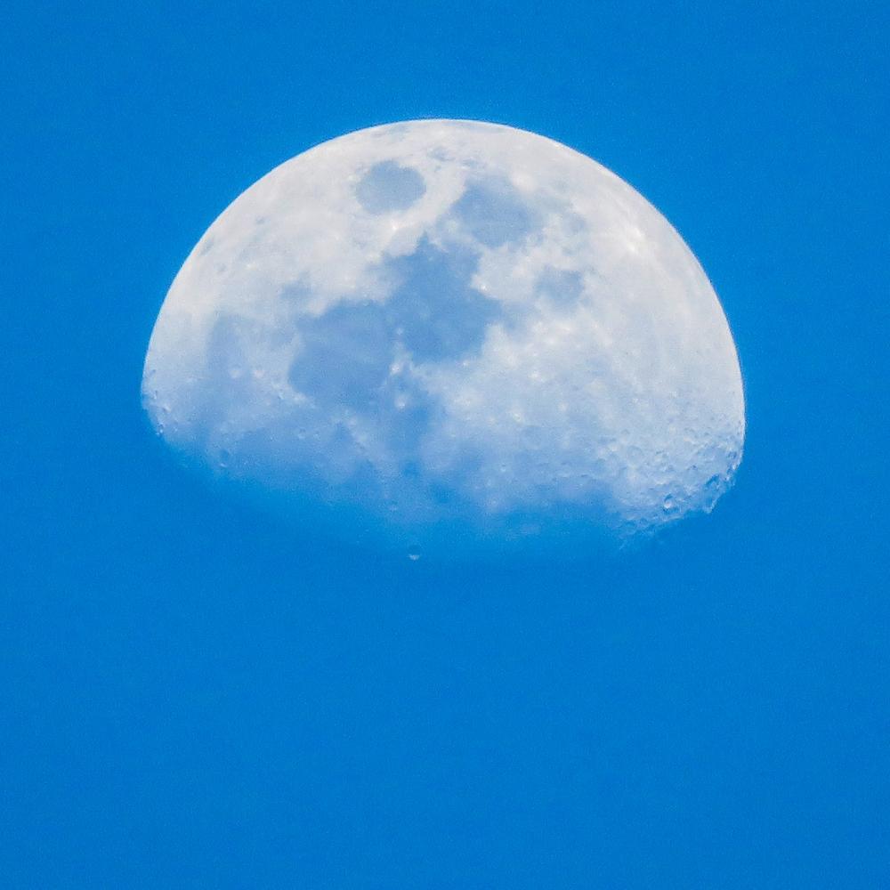 Man in the Moon Man in the Moon