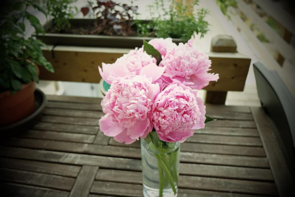 Flowers Flowers