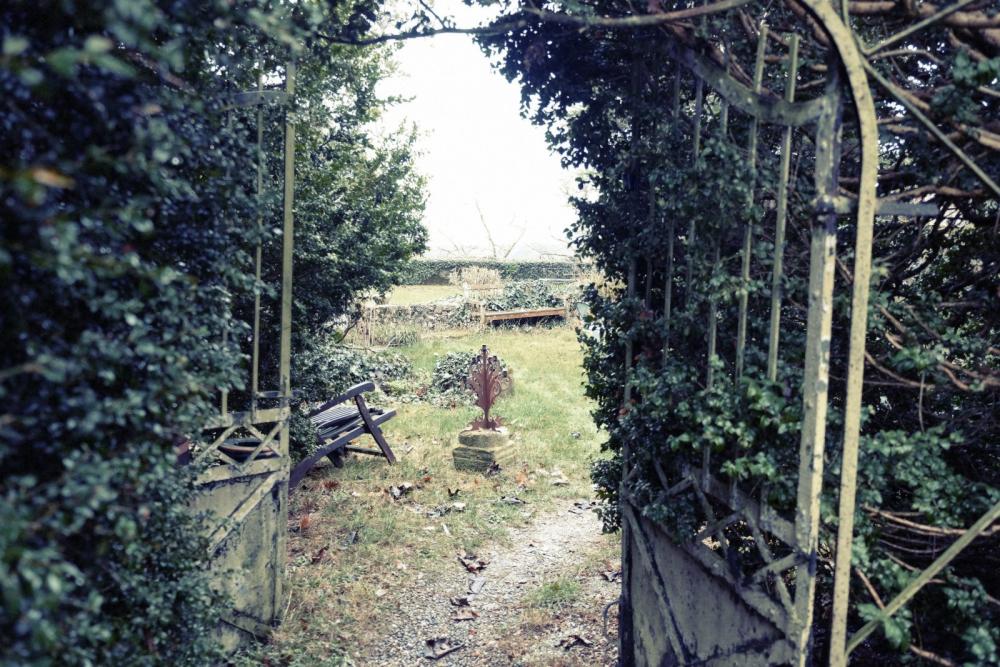 Garden Garden