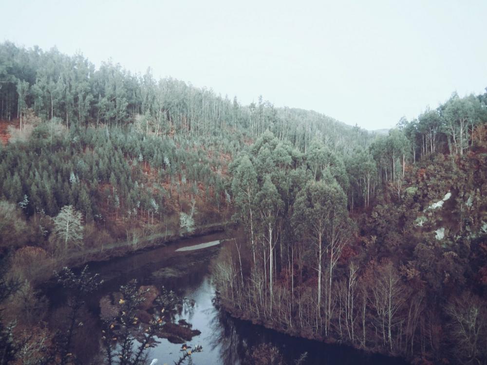 River River