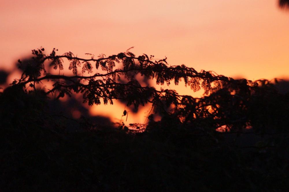 Sunset Sunset