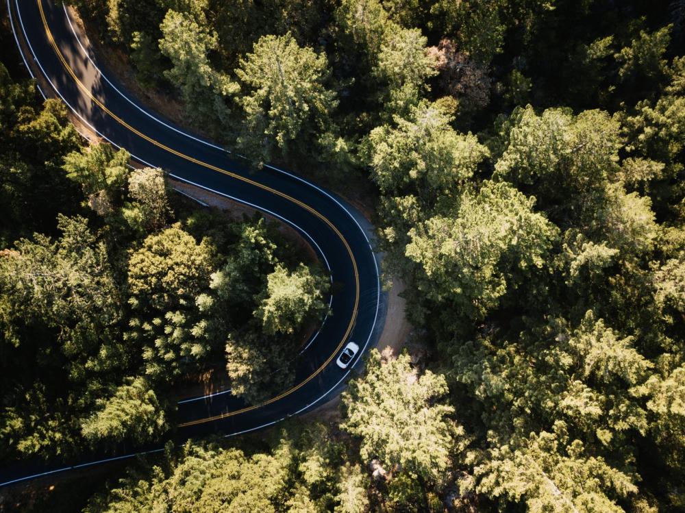 Forest Road Forest Road