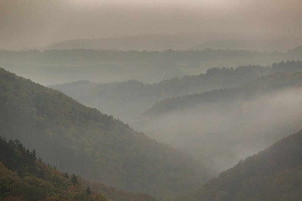 Foggy landscape Foggy landscape