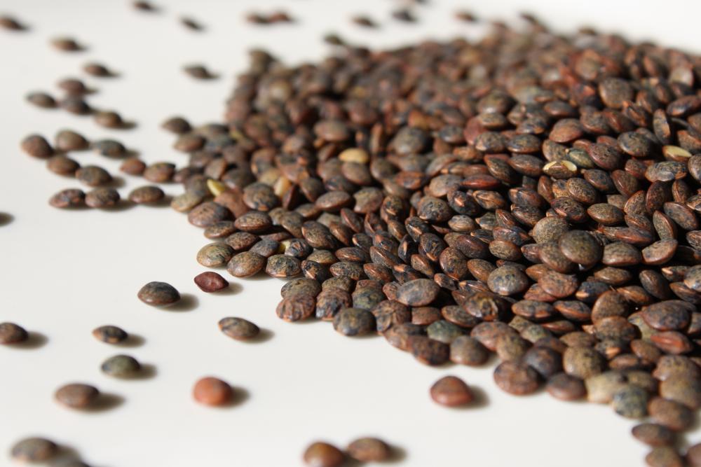 De Puy Lentils De Puy Lentils