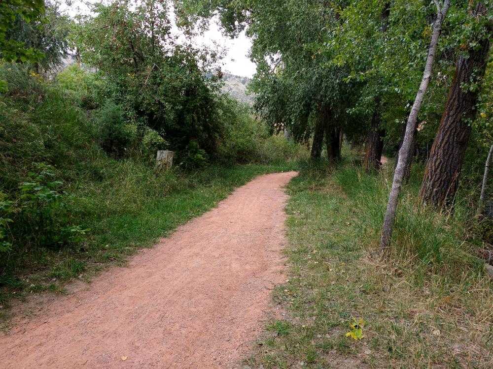 Dirt Path through Wooded Area Dirt Path through Wooded Area