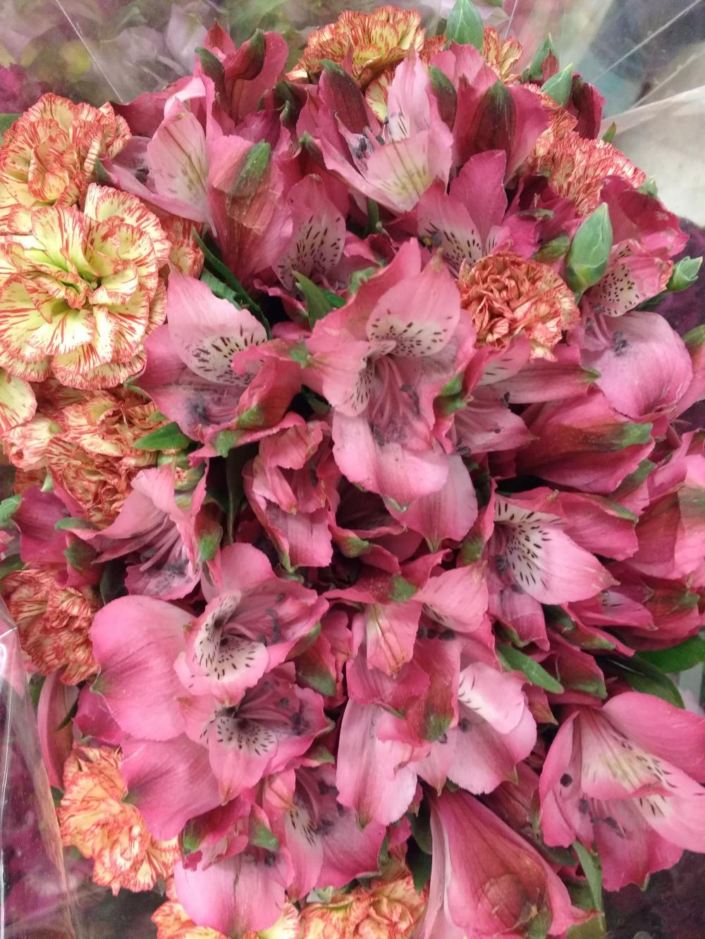 Pink Alstroemeria and Carnations Bouquet Closeup Pink Alstroemeria and Carnations Bouquet Closeup