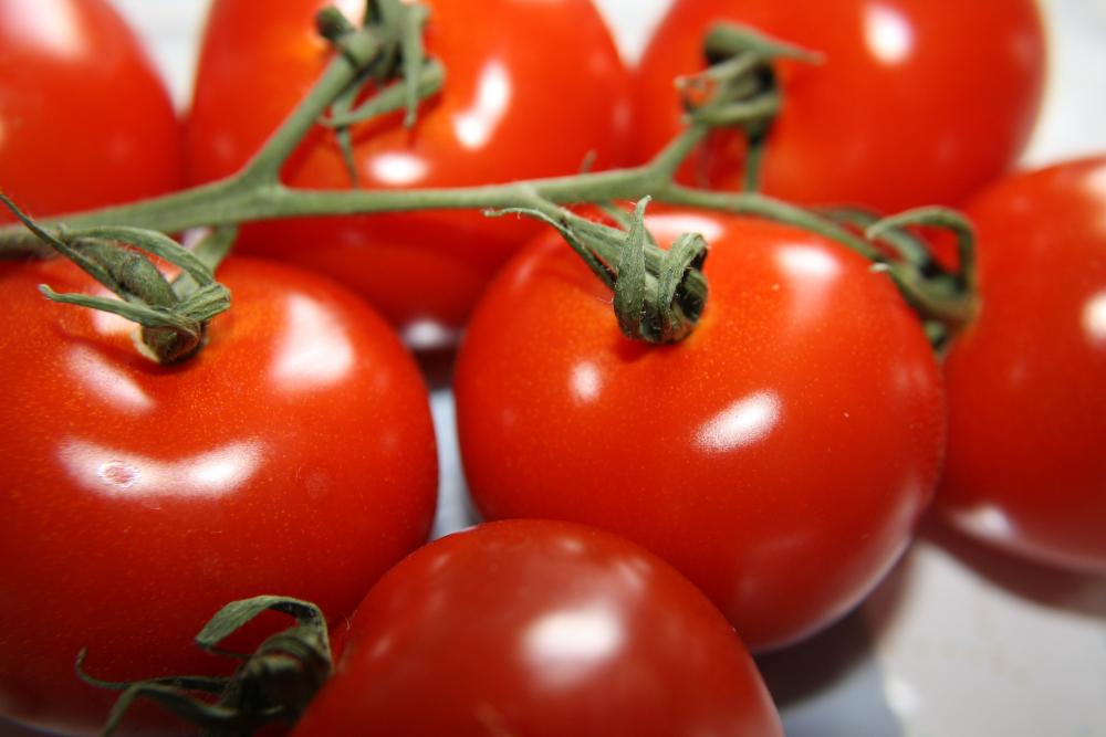Vine Ripened Tomatoes Vine Ripened Tomatoes