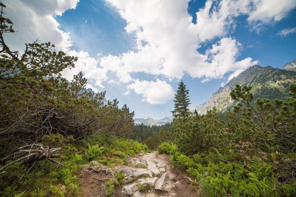 Small Path in the Middle of High Tatras, Slovakia Small Path in the Middle of High Tatras, Slovakia