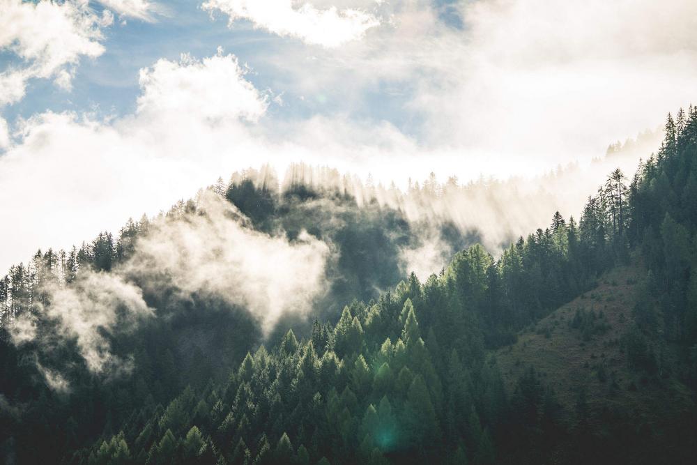 Beautiful Morning Mountain Forest Scenery Beautiful Morning Mountain Forest Scenery