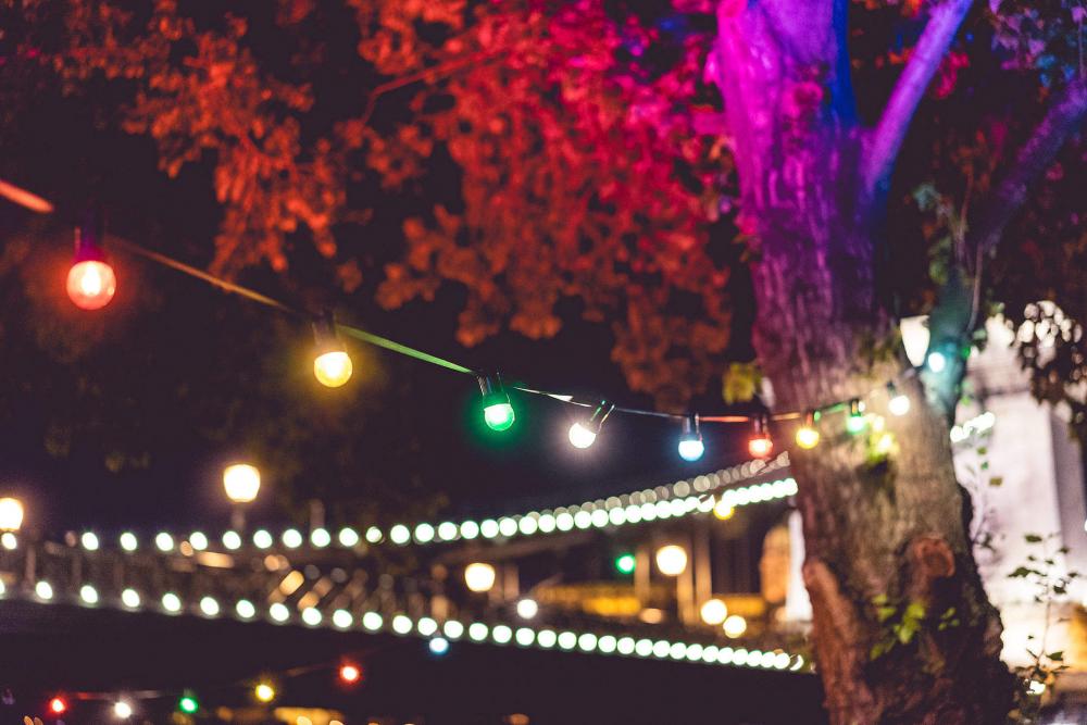 Colorful Lights on Night Garden Party Colorful Lights on Night Garden Party