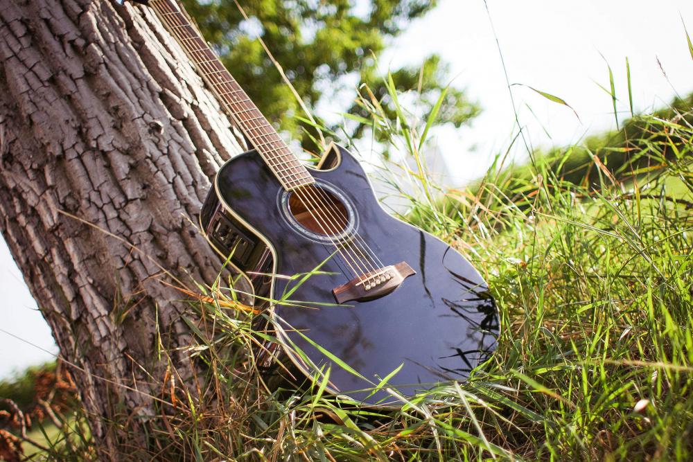 Guitar In Sunny Grass Guitar In Sunny Grass