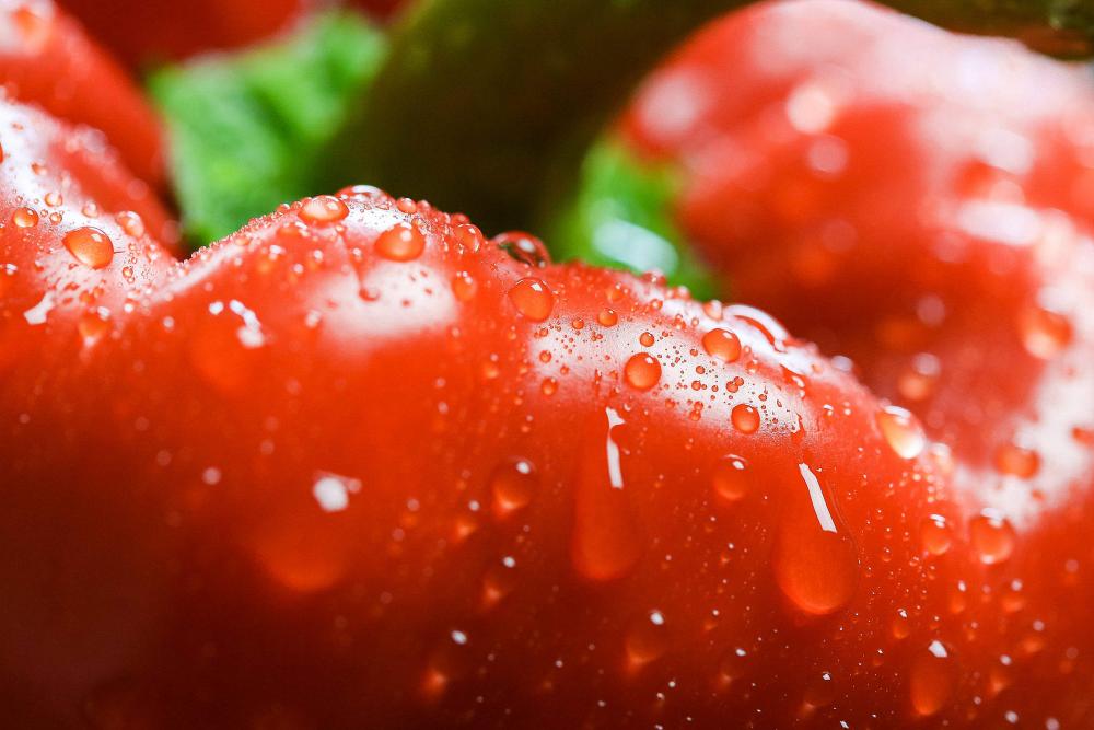 Red Paprika in Water Drops Close Up Red Paprika in Water Drops Close Up
