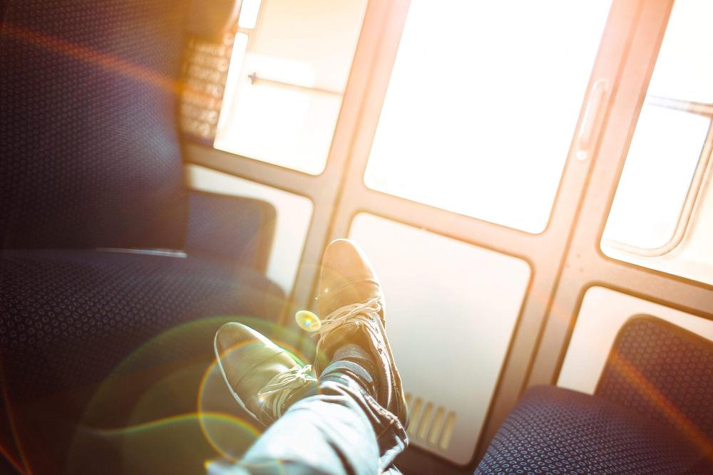 Sunny Traveling by Train Sunny Traveling by Train