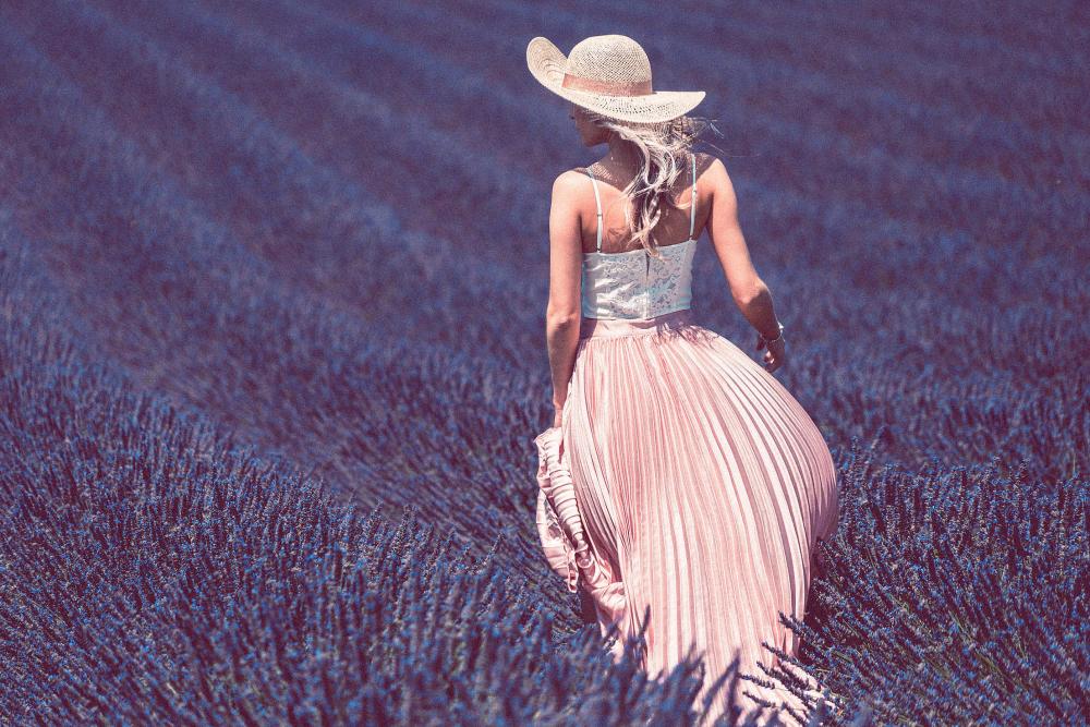 Walking in Lavender Field Walking in Lavender Field