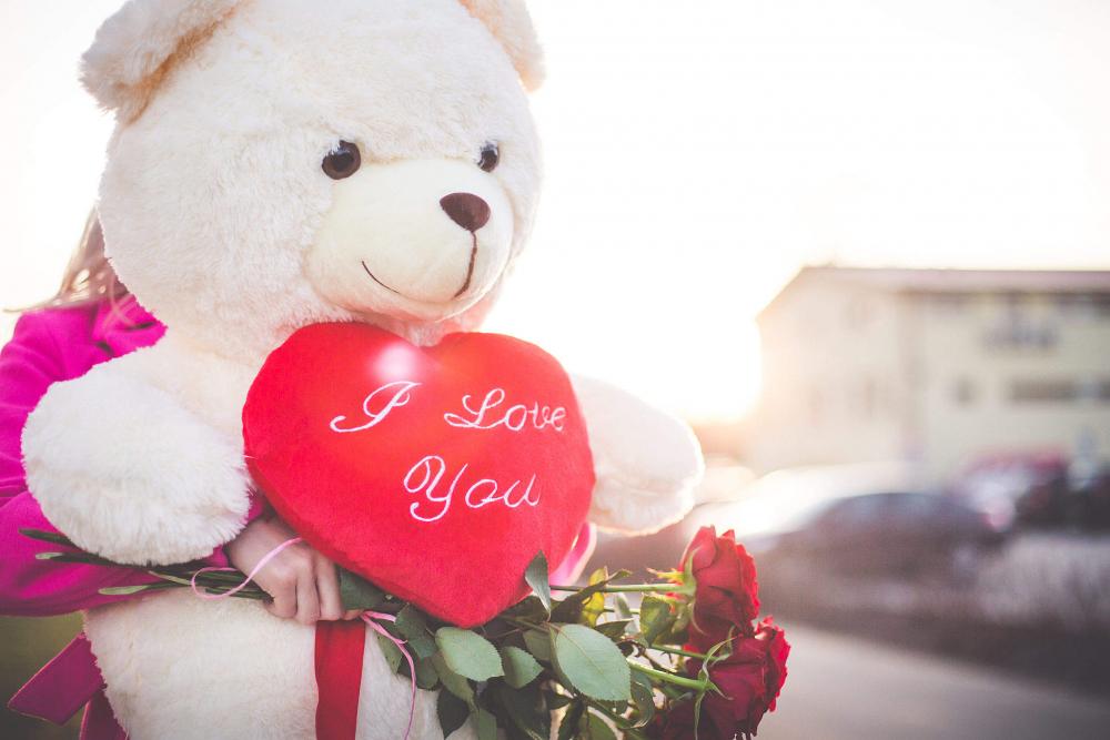 Woman Holding a Big Teddy Bear and Roses on Valentine’s Day Woman Holding a Big Teddy Bear and Roses on Valentine’s Day