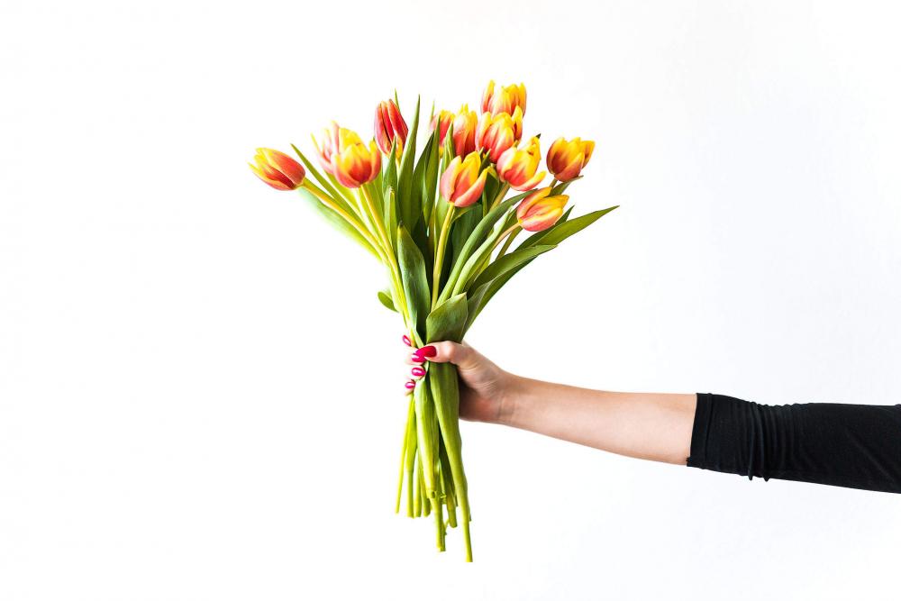 Young Woman Holding Bouquet of Kees Nelis Tulips Young Woman Holding Bouquet of Kees Nelis Tulips