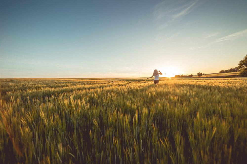 Young Woman Running Through Wheat Field on Sunset Young Woman Running Through Wheat Field on Sunset