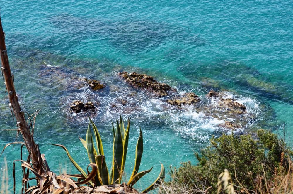 Agave Sea Stones Coast Rock Blue Nature Agave Sea Stones Coast Rock Blue Nature