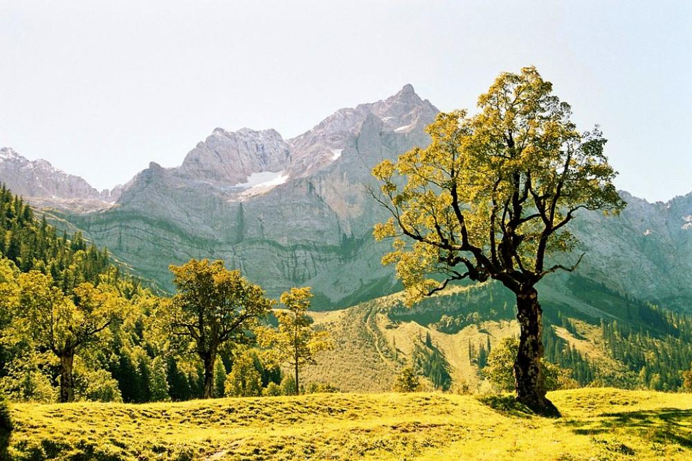 Ahornboden Alpine Mountains Engalm Ahornboden Alpine Mountains Engalm
