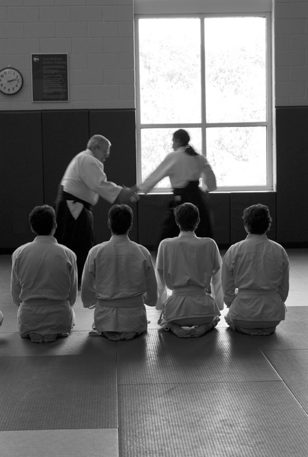 Aikido Martial Arts Self-Defense Learning Seminar Aikido Martial Arts Self-Defense Learning Seminar