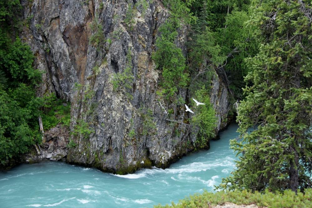 Alaska Landscape Wilderness Nature Water River Alaska Landscape Wilderness Nature Water River
