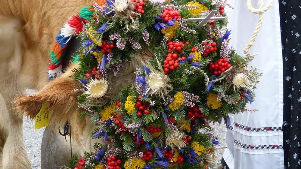 Allgäu Nesselwang Viehscheid Cow Headdress Allgäu Nesselwang Viehscheid Cow Headdress