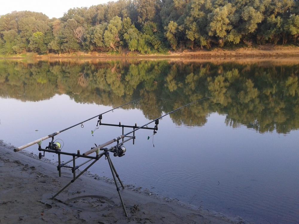 Angler Fishing Rods Water River Summer Part Angler Fishing Rods Water River Summer Part