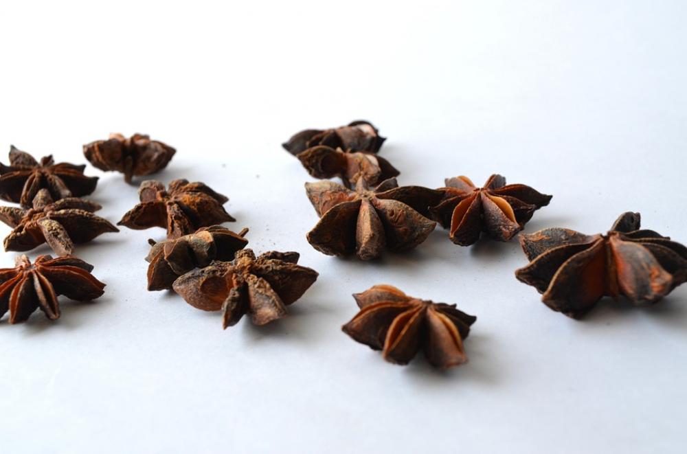Anise Chinese Star Anise Illicium Verum Star Anise Anise Chinese Star Anise Illicium Verum Star Anise
