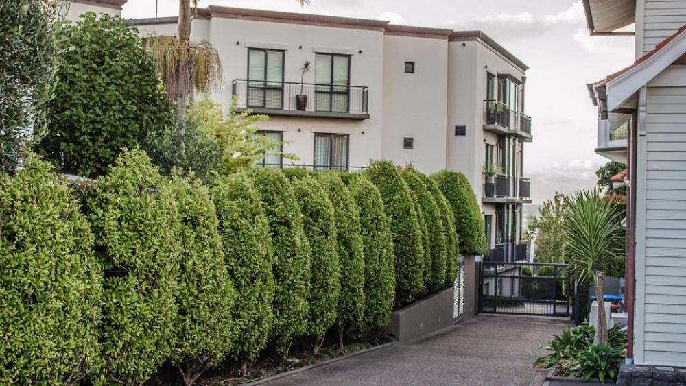 Apartments Departments Building City Architecture Apartments Departments Building City Architecture
