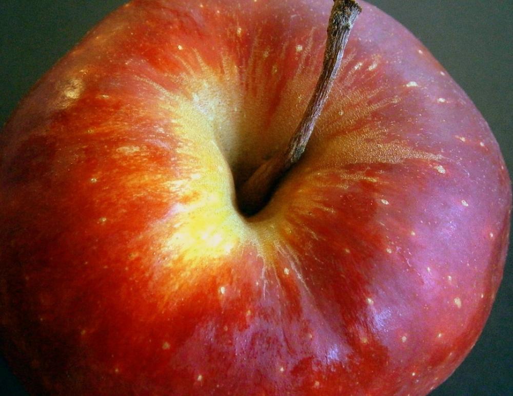 Apple Fruit Red Yellow Vitamins Fresh Healthy Apple Fruit Red Yellow Vitamins Fresh Healthy